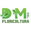 Logo Dm Srl