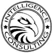 Logo Intelligence Consulting Srl