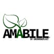 Logo Amabile Srl Semplificata