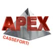 Logo Apex Casseforti Srl