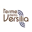 Logo Versilia N G Srl