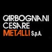 Logo Carbognani Cesare Metalli S.p.a