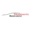 Logo Grandauto Bernardo Srl Semplificata