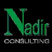 Logo Nadir Consulting Srl