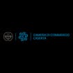 Logo Camera Di Commercio Di Caserta