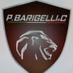 Logo P. Barigelli & C Srl