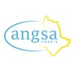 Logo Fondazione Angsa Umbria E.t.s.