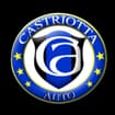 Logo "Castriotta Auto Srl" Siglabile In "Castriotta Auto Srl"