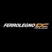 Logo Ferrolegno D.c. Srl