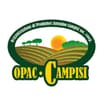 Logo O.p.a.c. - Organizzazione Di Produttori Antonino Campisi Società Cooperativa Agricola In Sigla O.p.a.c. Soc. Coop. Agricola
