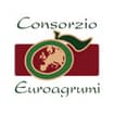 Logo Consorzio Euroagrumi O.p. - Società Cooperativa Consortile In Breve "Consorzio Euroagrumi O.p. S.c.c."