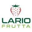 Logo Lariofrutta Di Botta Stefano