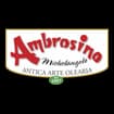 Logo Oleificio Michelangelo Ambrosino Srl