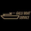 Logo Galli Giacomo Srl