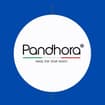 Logo Pandhora Srl - Società Benefit