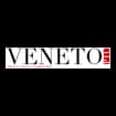 Logo Danieli Editore Srls