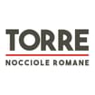 Logo Fabio Torre Srl