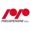 Logo Pneuspergine Srl