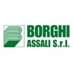 Logo Borghi Assali Srl