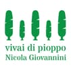 Logo Giovannini Nicola