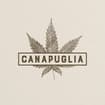 Logo Emporio Canapuglia Società In Accomandita Semplice Di Natile Claudio