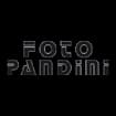 Logo Foto Pandini Di Michele Pandini