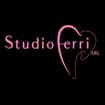 Logo Studio Ferri Srl