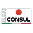 Logo Nuova Consul Srl