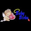 Logo Baby Birba S.n.c. Di Ponchio Laura & Giacomini Maddalena