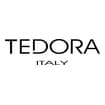 Logo Tedora Srl