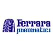 Logo Ferrara Srl