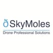 Logo Skymoles Srl Semplificata
