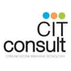 Logo Cit Consult Di Castioni David
