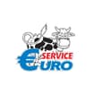 Logo Euro Service Di Demichelis Walter & C. S.a.s.
