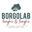 Logo Borgolab Srl