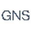 Logo G.n.s.system News Spa