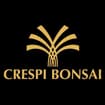 Logo Crespi Luigi