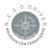 Logo N.e.s.o. Driver Di Cappellina Simone