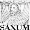 Logo Saxum Srl