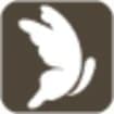 Logo Pineta Al Mare Srl