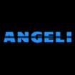 Logo Angeli Srl