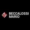 Logo Beccalossi Mario Srl