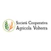 Logo Società Cooperativa Agricola Volterra Società Agricola