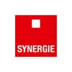 Logo Synergie Italia - Agenzia Per Il Lavoro Spa