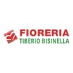 Logo Bisinella Tiberio