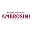Logo Ambrosini Holding Srl