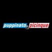 Logo Puppinato & Picinque Srl