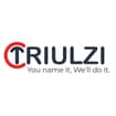 Logo Triulzi Cesare Special Equipments Srl