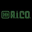 Logo R.i.co. Srl