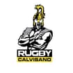 Logo Rugby Calvisano Srl Società Sportiva Dilettantistica A Respon Sabilita' Limitata